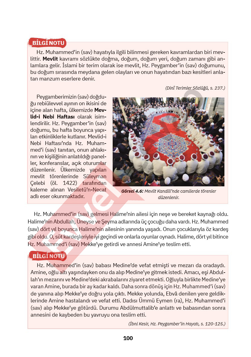 4-sinif-din-kulturu-ders-kitabi-cevaplari-sdr-ipekyolu-sayfa-100