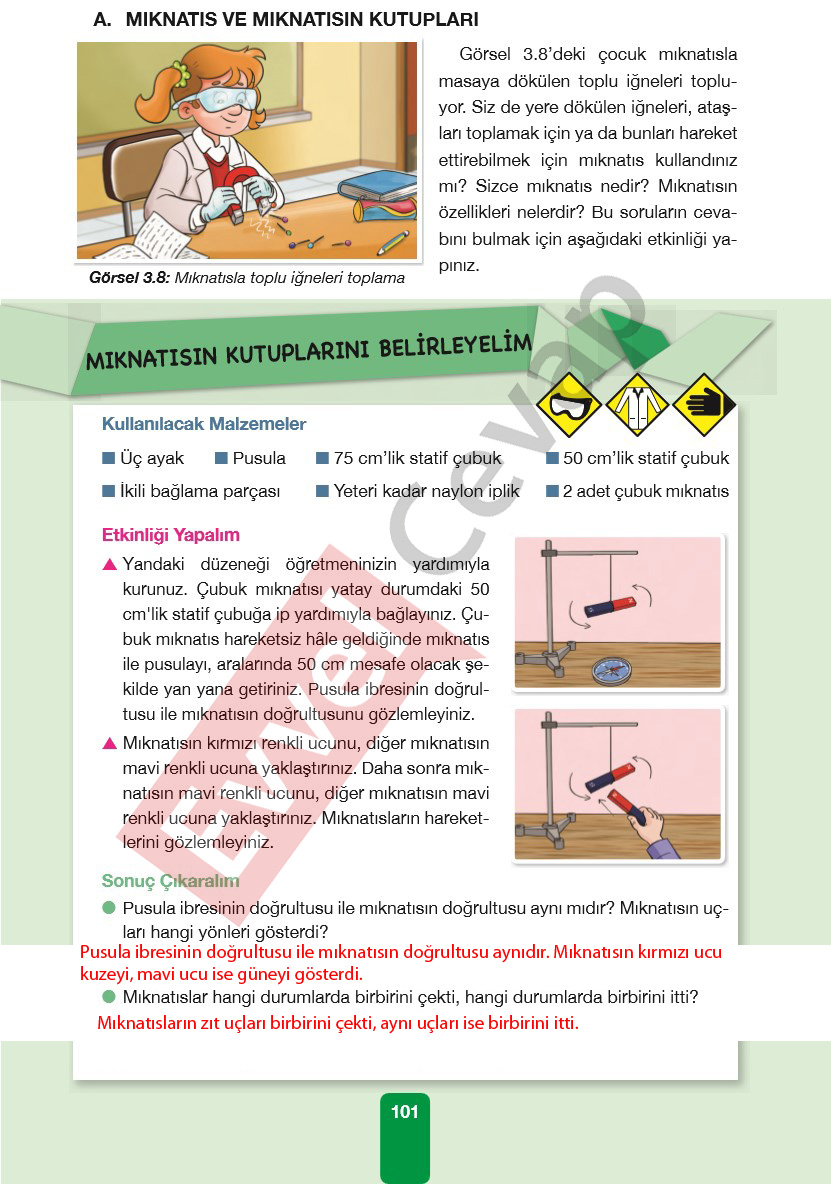4-sinif-pasifik-yayinlari-fen-bilimleri-ders-kitabi-cevaplari-sayfa-101