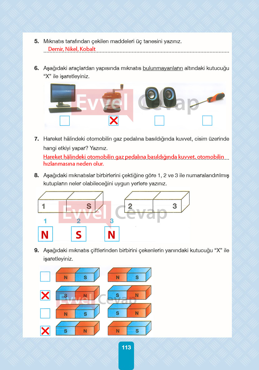 4-sinif-pasifik-yayinlari-fen-bilimleri-ders-kitabi-cevaplari-sayfa-113