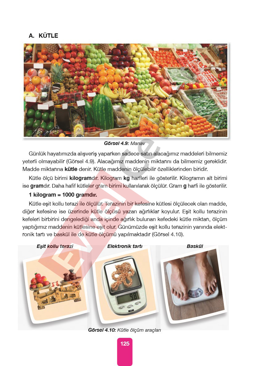 4-sinif-pasifik-yayinlari-fen-bilimleri-ders-kitabi-cevaplari-sayfa-125