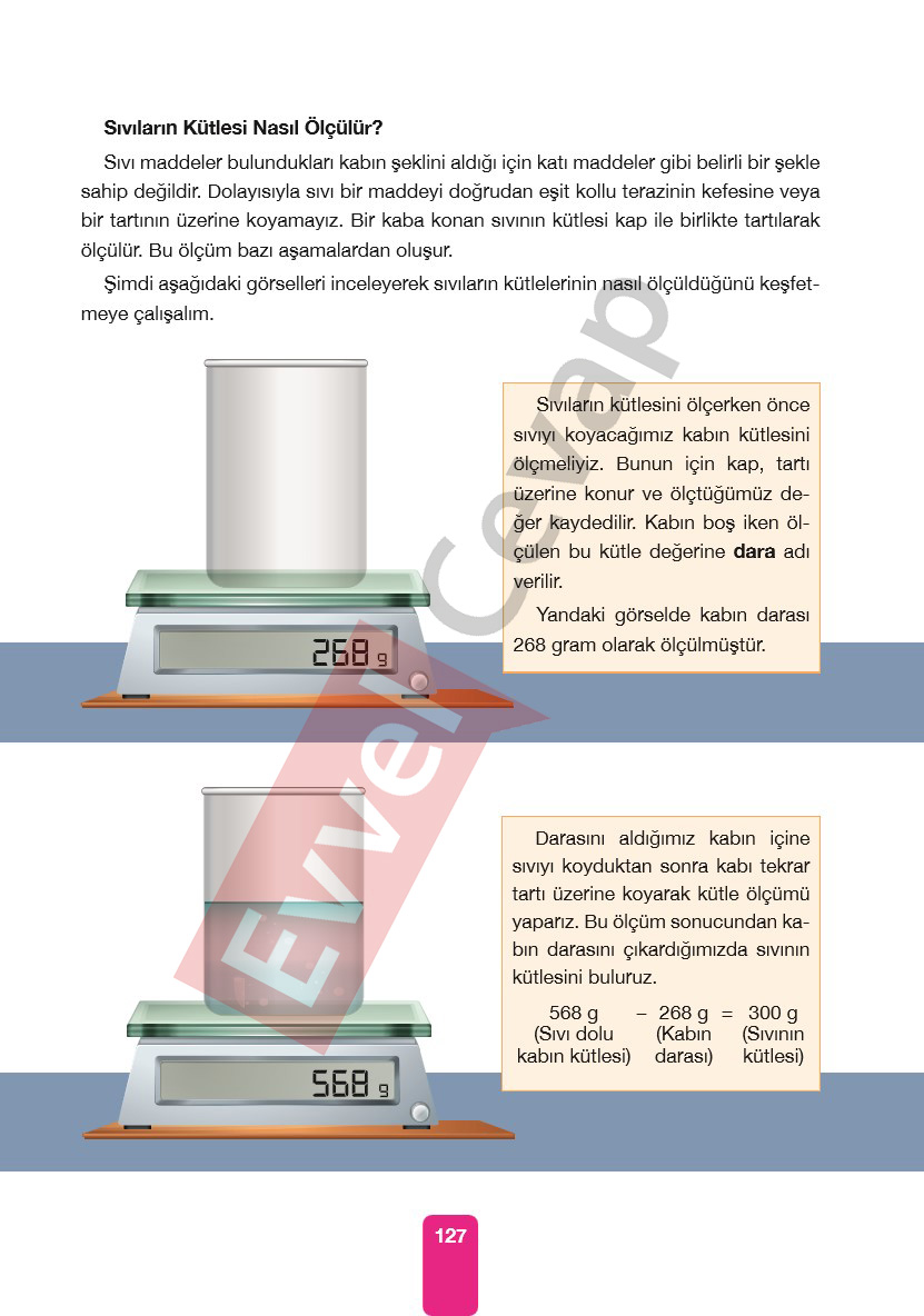 4-sinif-pasifik-yayinlari-fen-bilimleri-ders-kitabi-cevaplari-sayfa-127