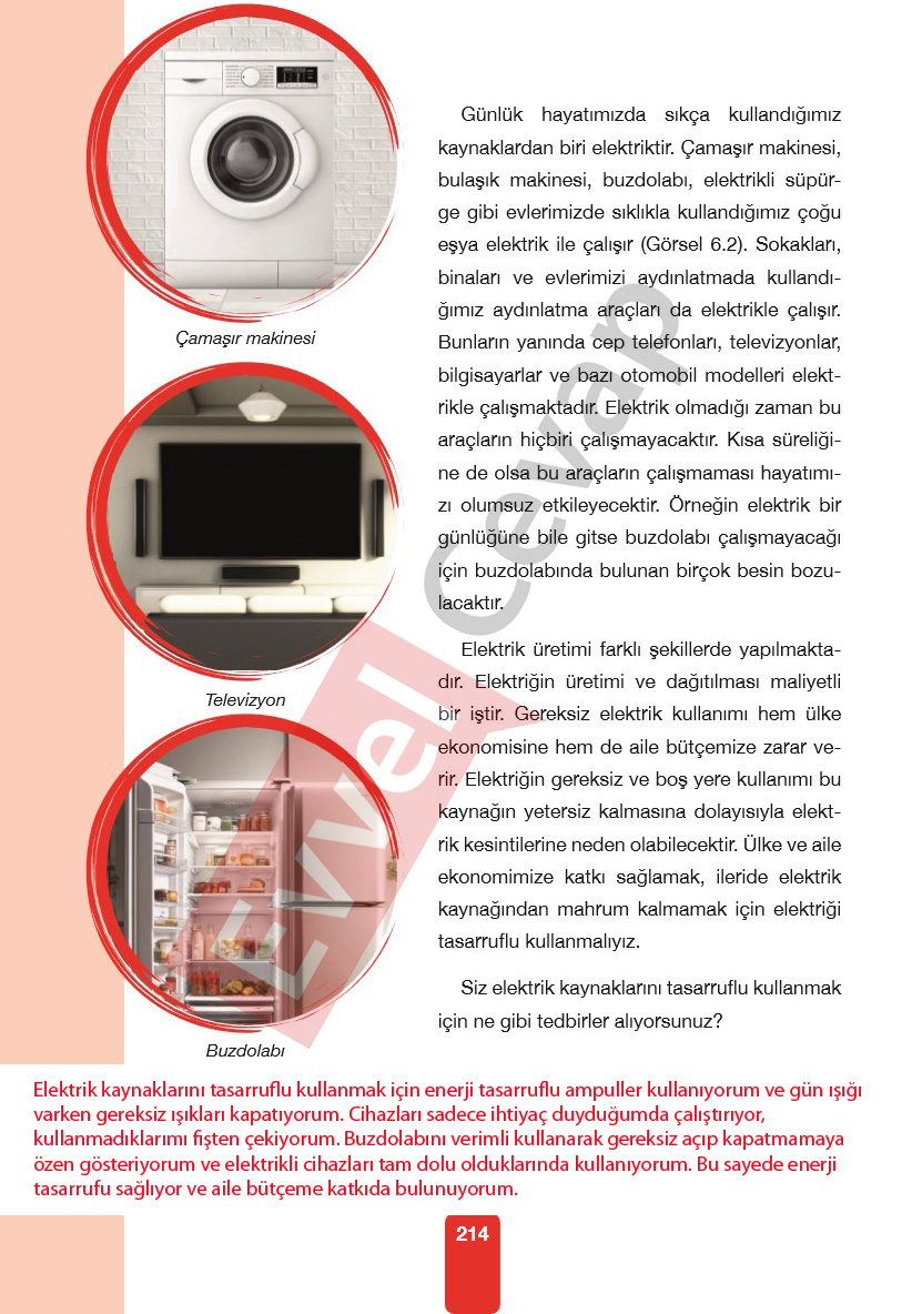 4-sinif-pasifik-yayinlari-fen-bilimleri-ders-kitabi-cevaplari-sayfa-214
