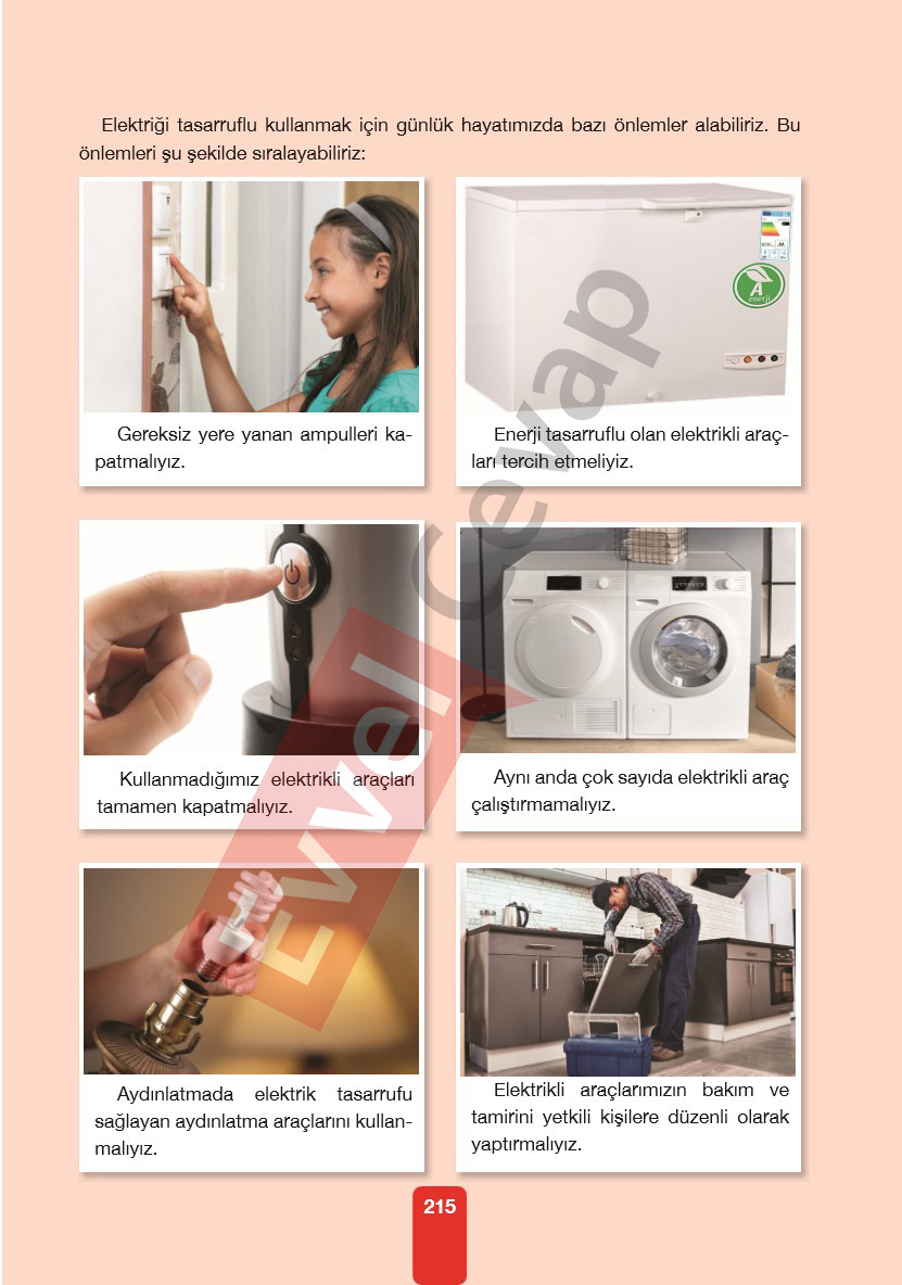 4-sinif-pasifik-yayinlari-fen-bilimleri-ders-kitabi-cevaplari-sayfa-215