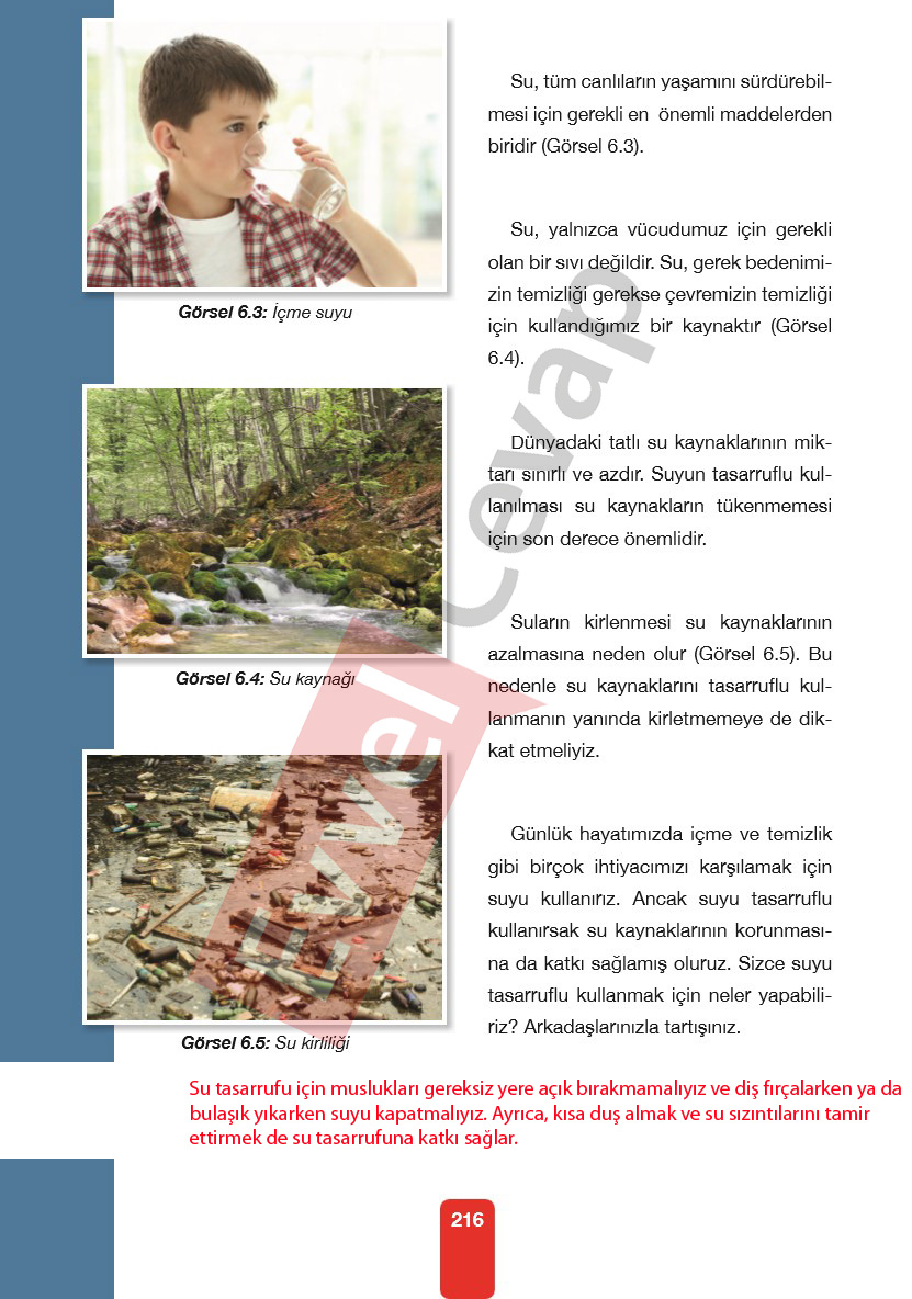 4-sinif-pasifik-yayinlari-fen-bilimleri-ders-kitabi-cevaplari-sayfa-216