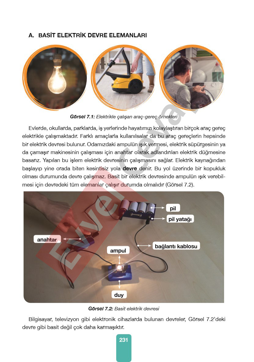 4-sinif-pasifik-yayinlari-fen-bilimleri-ders-kitabi-cevaplari-sayfa-231