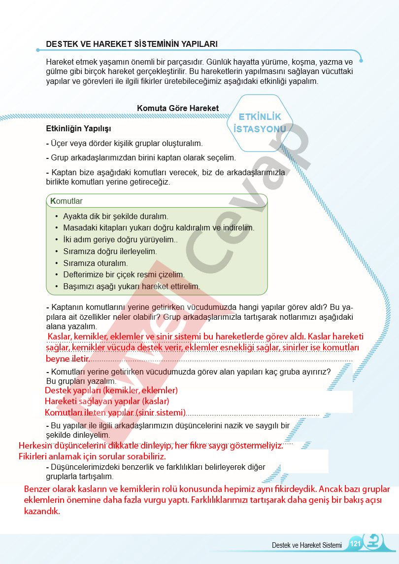 5-sinif-fen-bilimleri-ders-kitabi-cevaplari-sayfa-121