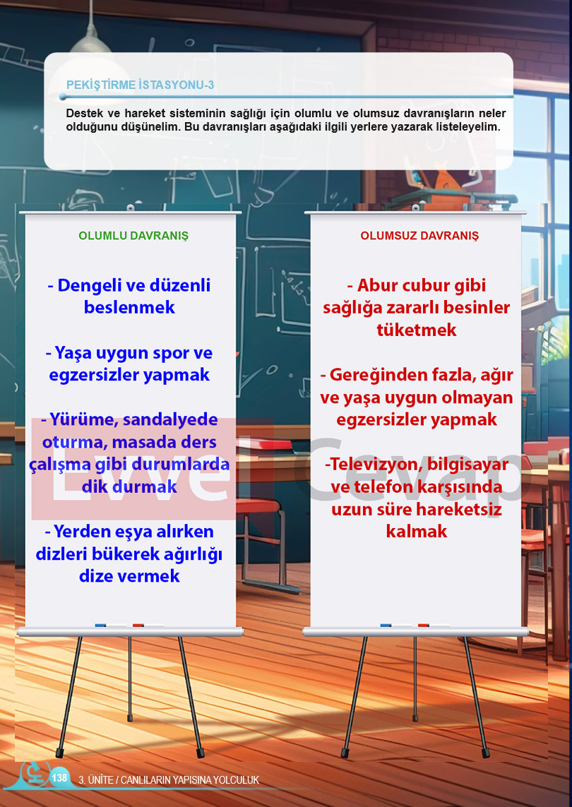 5-sinif-fen-bilimleri-ders-kitabi-cevaplari-sayfa-138