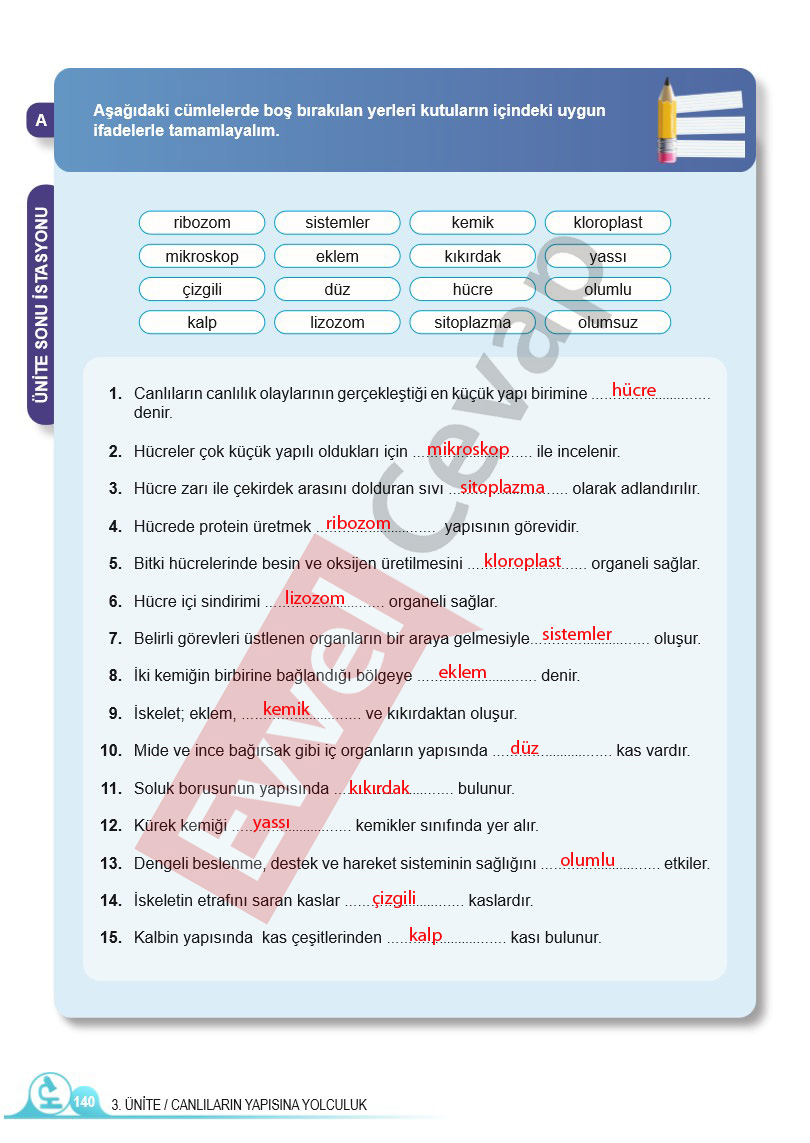5-sinif-fen-bilimleri-ders-kitabi-cevaplari-sayfa-140