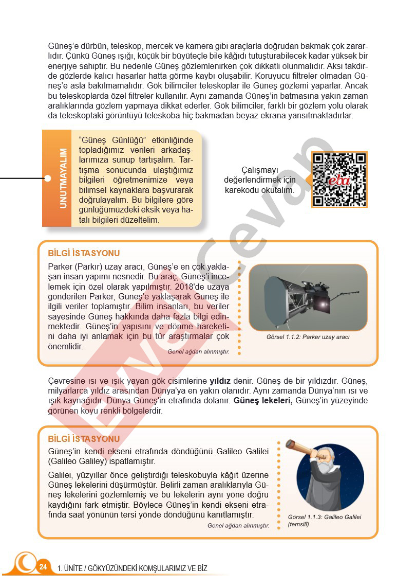 5-sinif-fen-bilimleri-ders-kitabi-cevaplari-sayfa-24