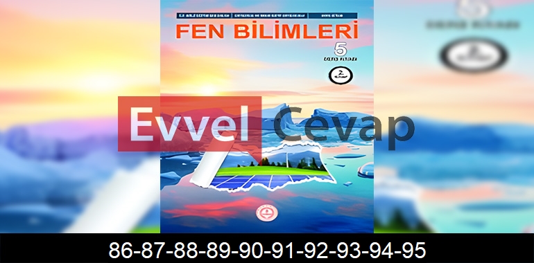 5. Sınıf Fen Bilimleri Ders Kitabı Cevapları Sayfa 86-87-88-89-90-91-92-93-94-95