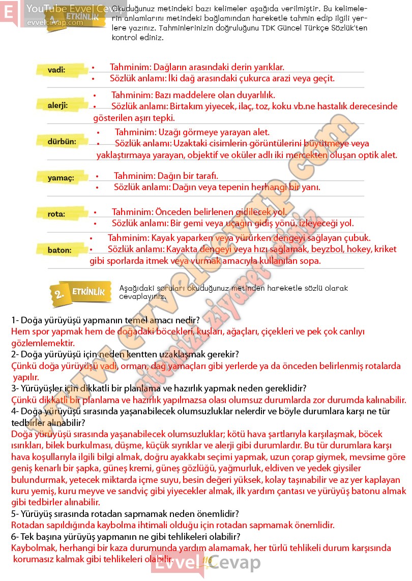 5-sinif-turkce-ders-kitabi-cevaplari-meb-yayinlari-2-kitap-sayfa-116