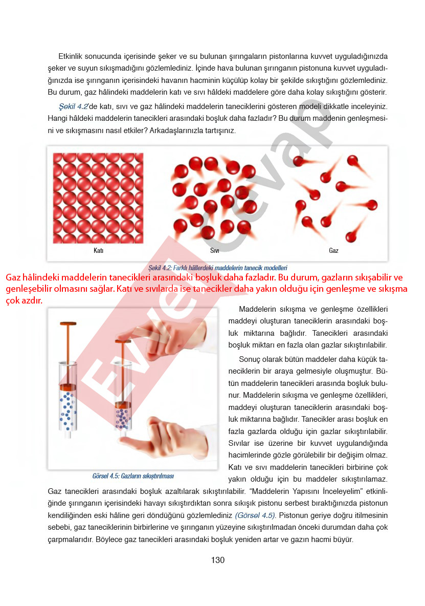 6-sinif-fen-bilimleri-ders-kitabi-cevaplari-gun-yayincilik-sayfa-130