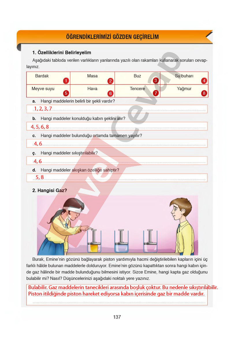 6-sinif-fen-bilimleri-ders-kitabi-cevaplari-gun-yayincilik-sayfa-137