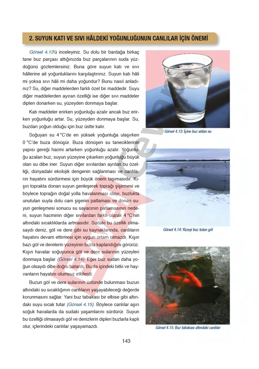 6-sinif-fen-bilimleri-ders-kitabi-cevaplari-gun-yayincilik-sayfa-143