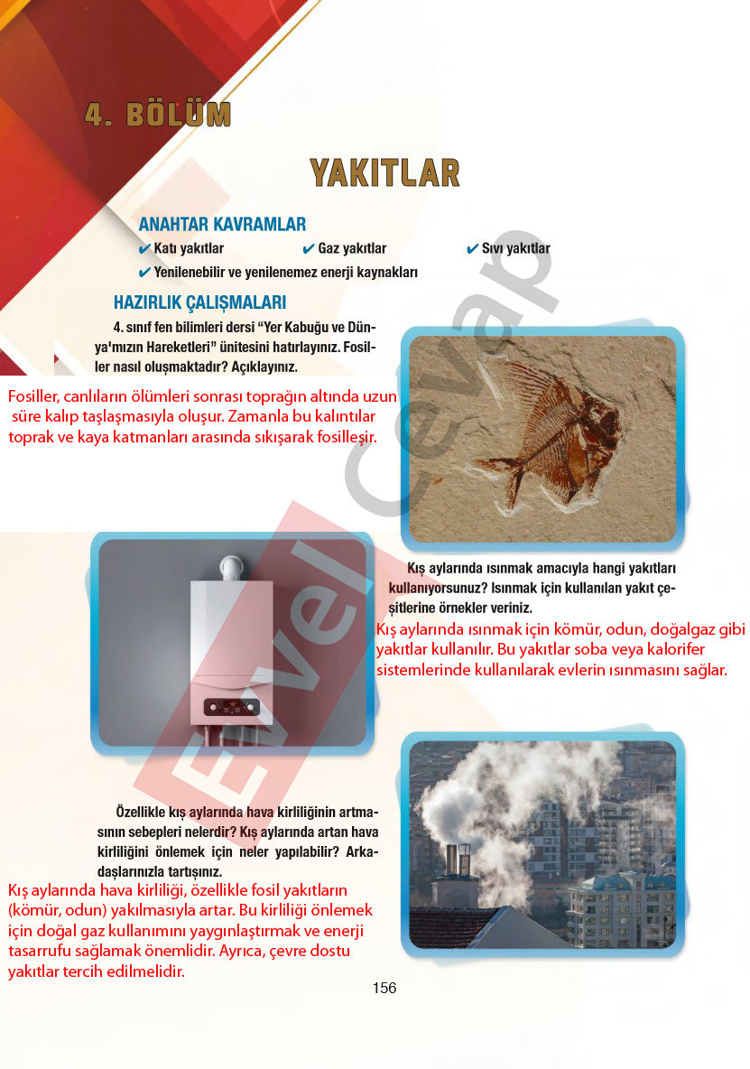 6-sinif-fen-bilimleri-ders-kitabi-cevaplari-gun-yayincilik-sayfa-156