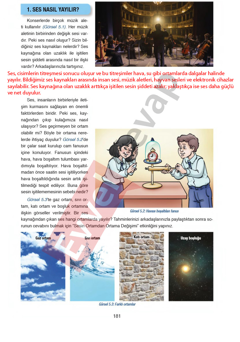 6-sinif-fen-bilimleri-ders-kitabi-cevaplari-gun-yayincilik-sayfa-181