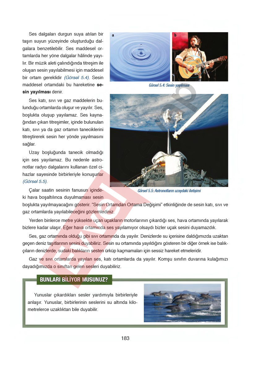6-sinif-fen-bilimleri-ders-kitabi-cevaplari-gun-yayincilik-sayfa-183