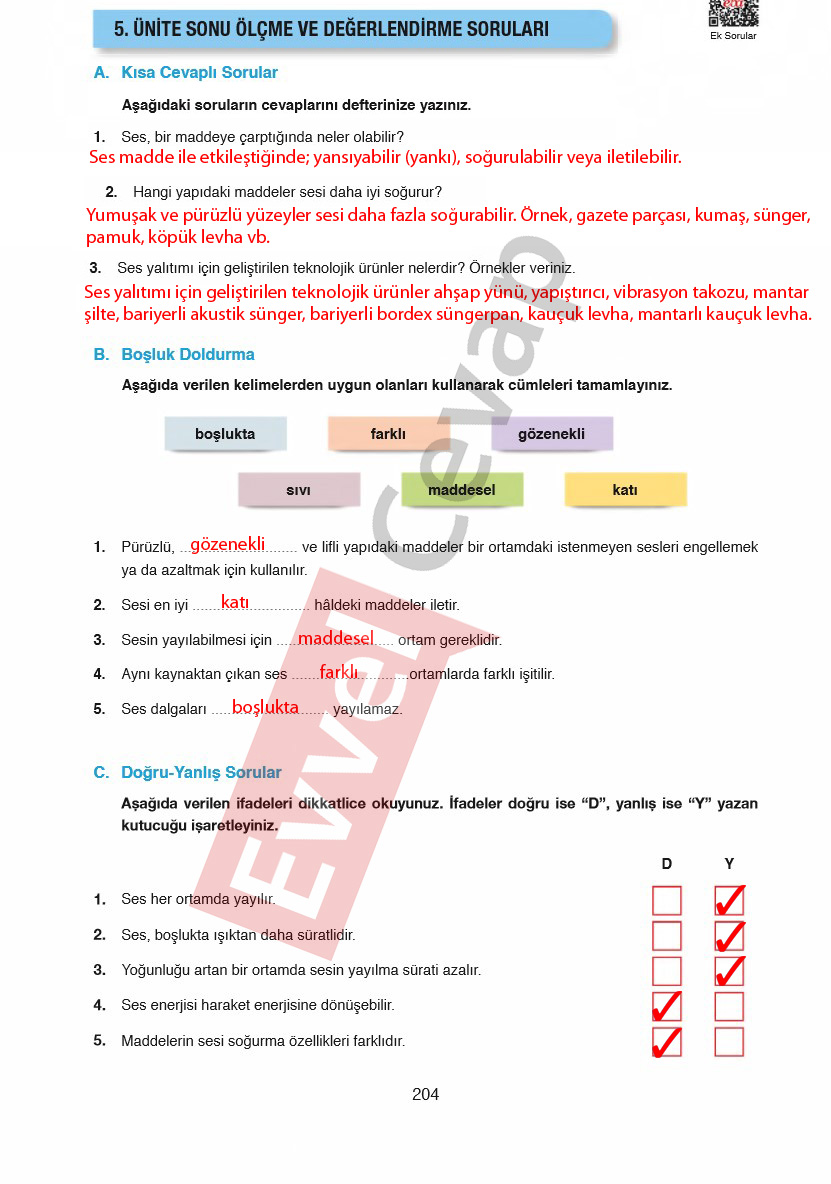 6-sinif-fen-bilimleri-ders-kitabi-cevaplari-gun-yayincilik-sayfa-204