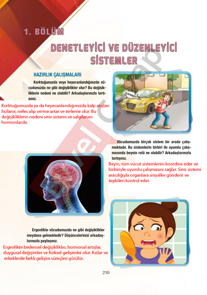 6-sinif-fen-bilimleri-ders-kitabi-cevaplari-gun-yayincilik-sayfa-210