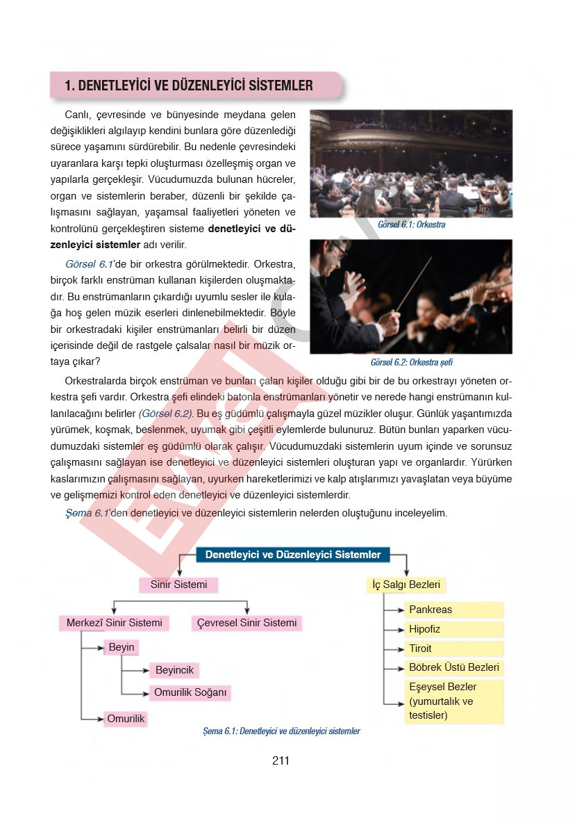 6-sinif-fen-bilimleri-ders-kitabi-cevaplari-gun-yayincilik-sayfa-211