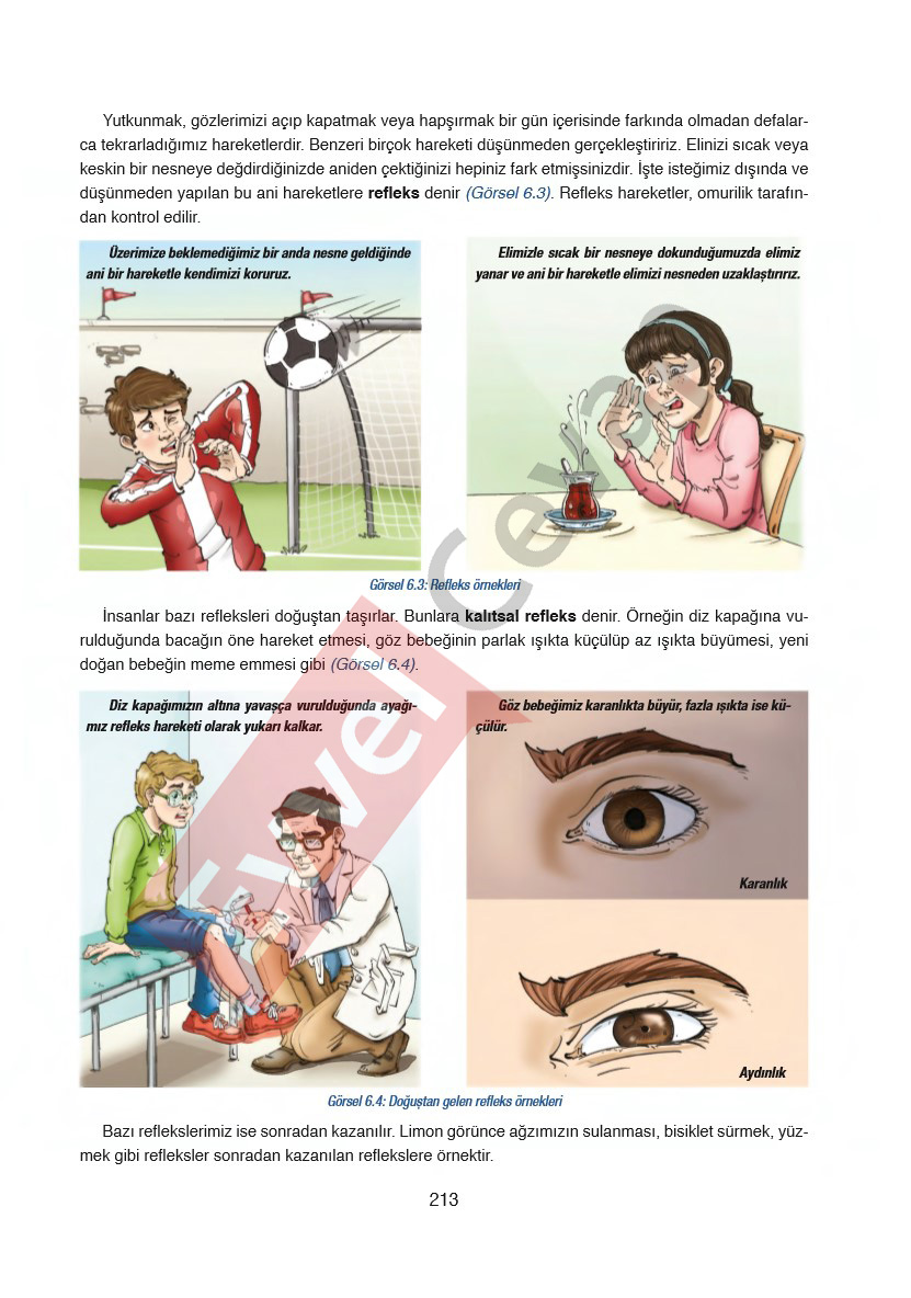 6-sinif-fen-bilimleri-ders-kitabi-cevaplari-gun-yayincilik-sayfa-213