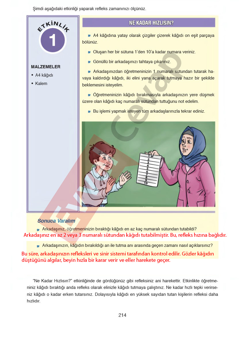 6-sinif-fen-bilimleri-ders-kitabi-cevaplari-gun-yayincilik-sayfa-214
