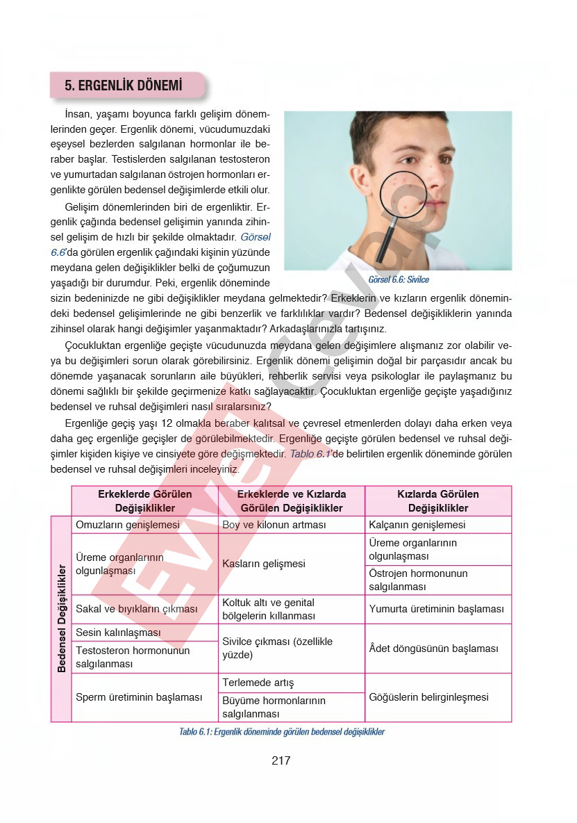 6-sinif-fen-bilimleri-ders-kitabi-cevaplari-gun-yayincilik-sayfa-217
