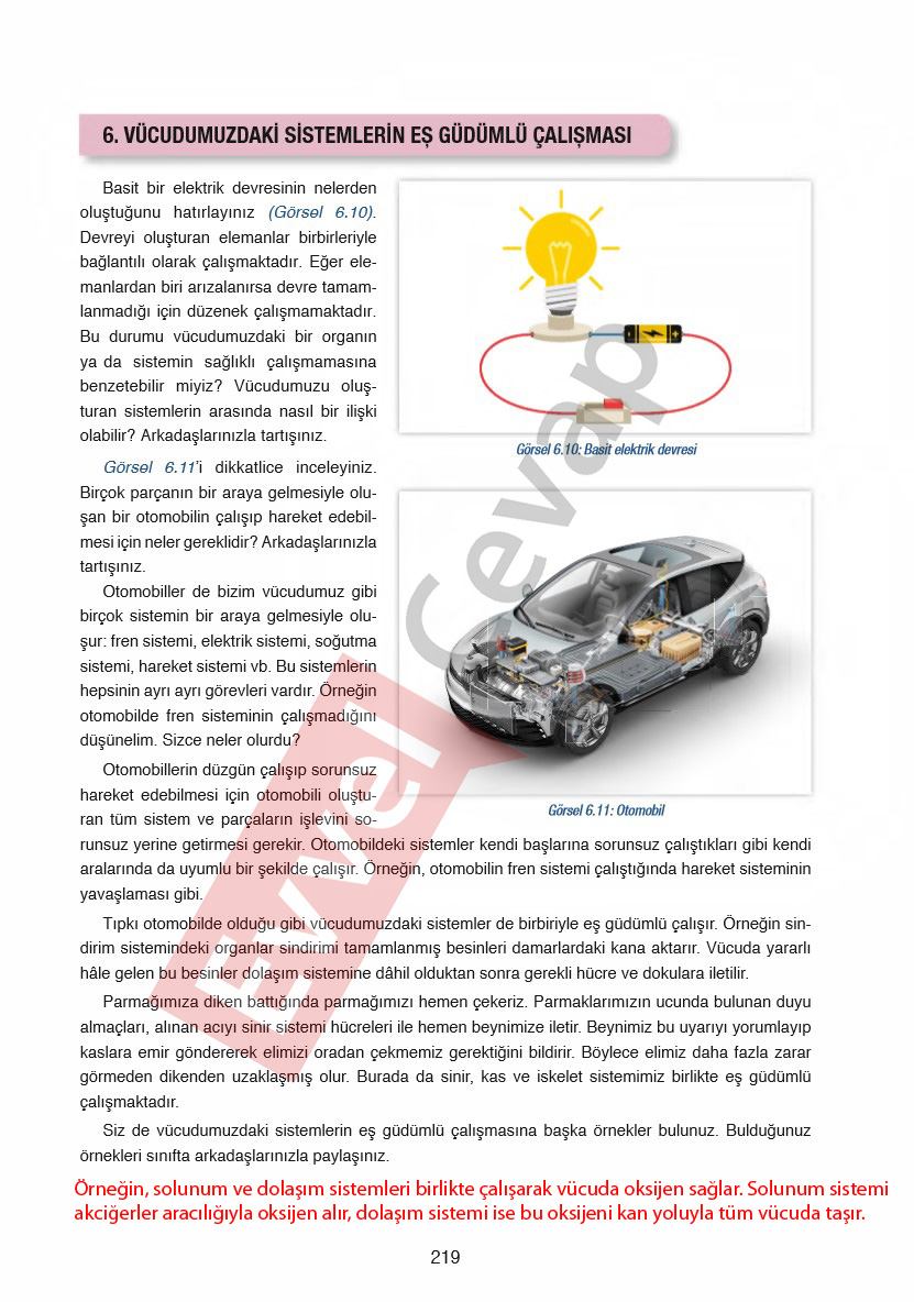 6-sinif-fen-bilimleri-ders-kitabi-cevaplari-gun-yayincilik-sayfa-219