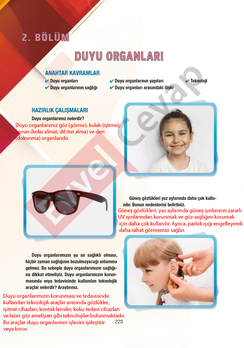 6-sinif-fen-bilimleri-ders-kitabi-cevaplari-gun-yayincilik-sayfa-223