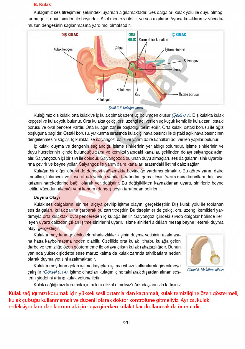 6-sinif-fen-bilimleri-ders-kitabi-cevaplari-gun-yayincilik-sayfa-226