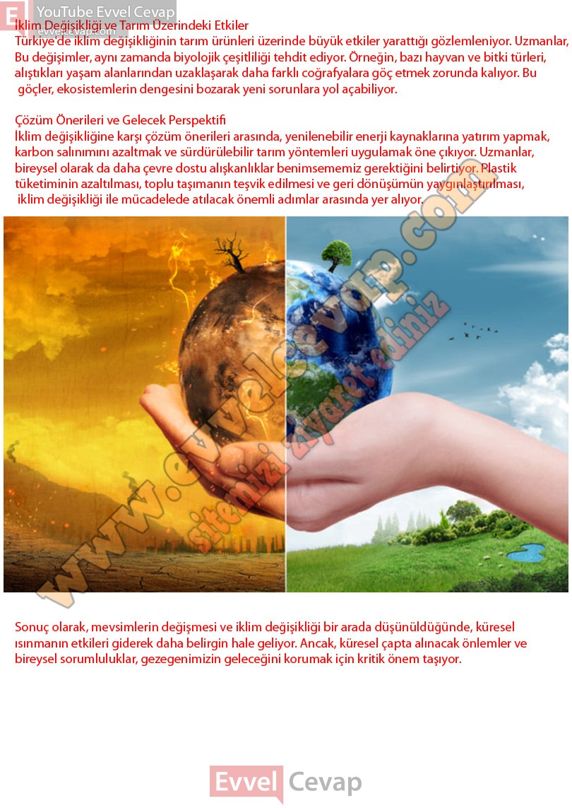 6-sinif-turkce-ders-kitabi-cevaplari-yildirim-yayinlari-sayfa-200-2