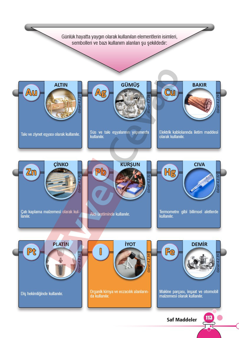 7-sinif-fen-bilimleri-ders-kitabi-cevaplari-sayfa-113