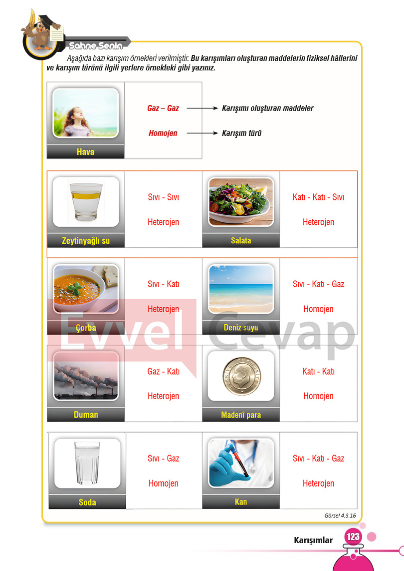 7-sinif-fen-bilimleri-ders-kitabi-cevaplari-sayfa-123