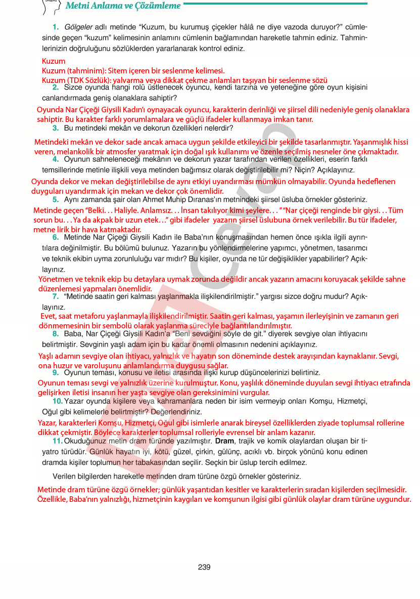 11-sinif-edebiyat-ders-kitabi-cevaplari-gizem-yayinlari-sayfa-239