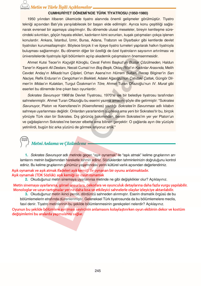 11-sinif-edebiyat-ders-kitabi-cevaplari-gizem-yayinlari-sayfa-245