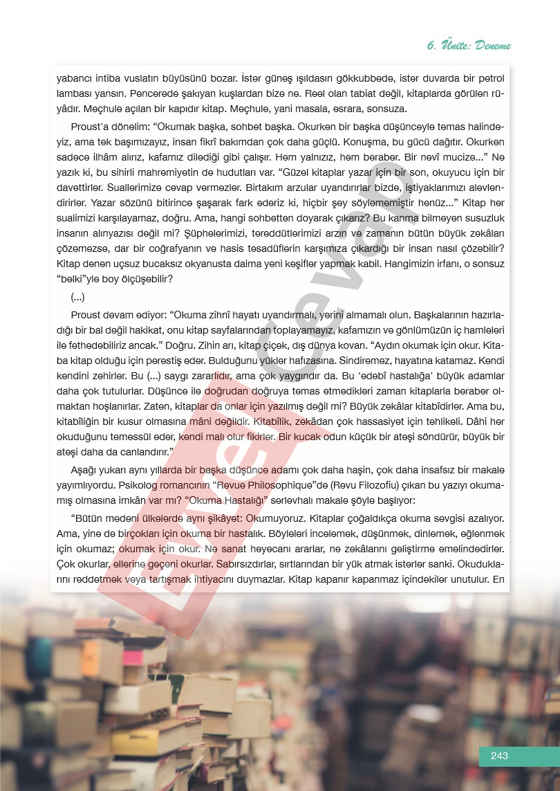 12-sinif-edebiyat-ders-kitabi-cevaplari-melis-yayinlari-sayfa-243