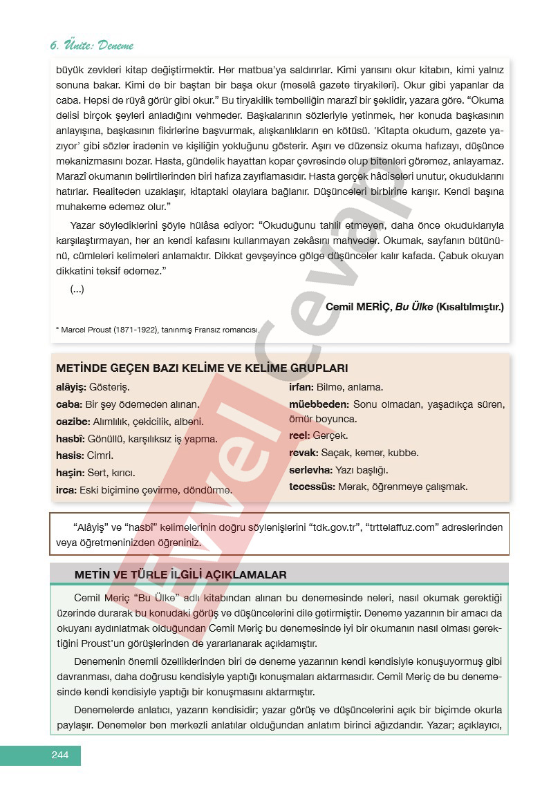 12-sinif-edebiyat-ders-kitabi-cevaplari-melis-yayinlari-sayfa-244