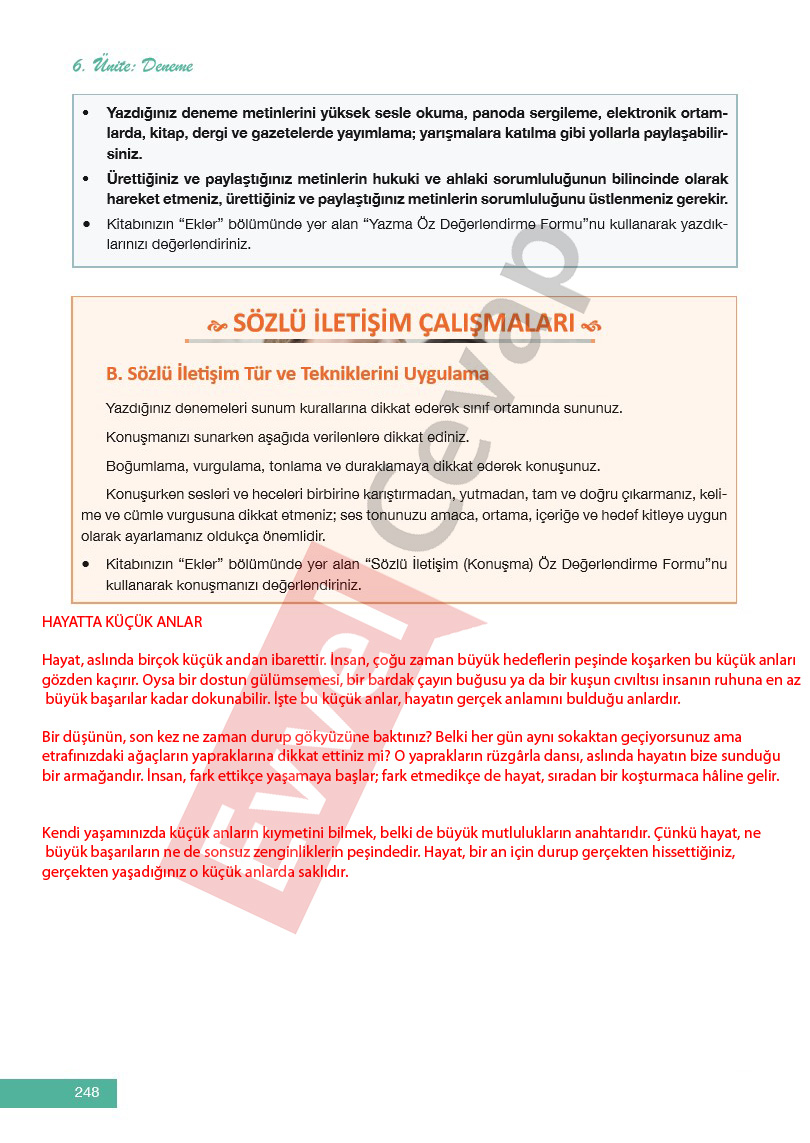 12-sinif-edebiyat-ders-kitabi-cevaplari-melis-yayinlari-sayfa-248
