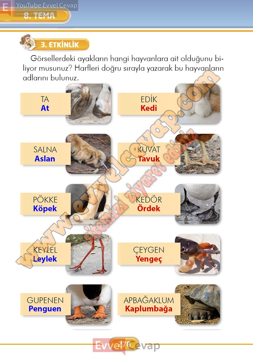 2-sinif-turkce-ders-kitabi-cevaplari-ilke-yayinlari-sayfa-278