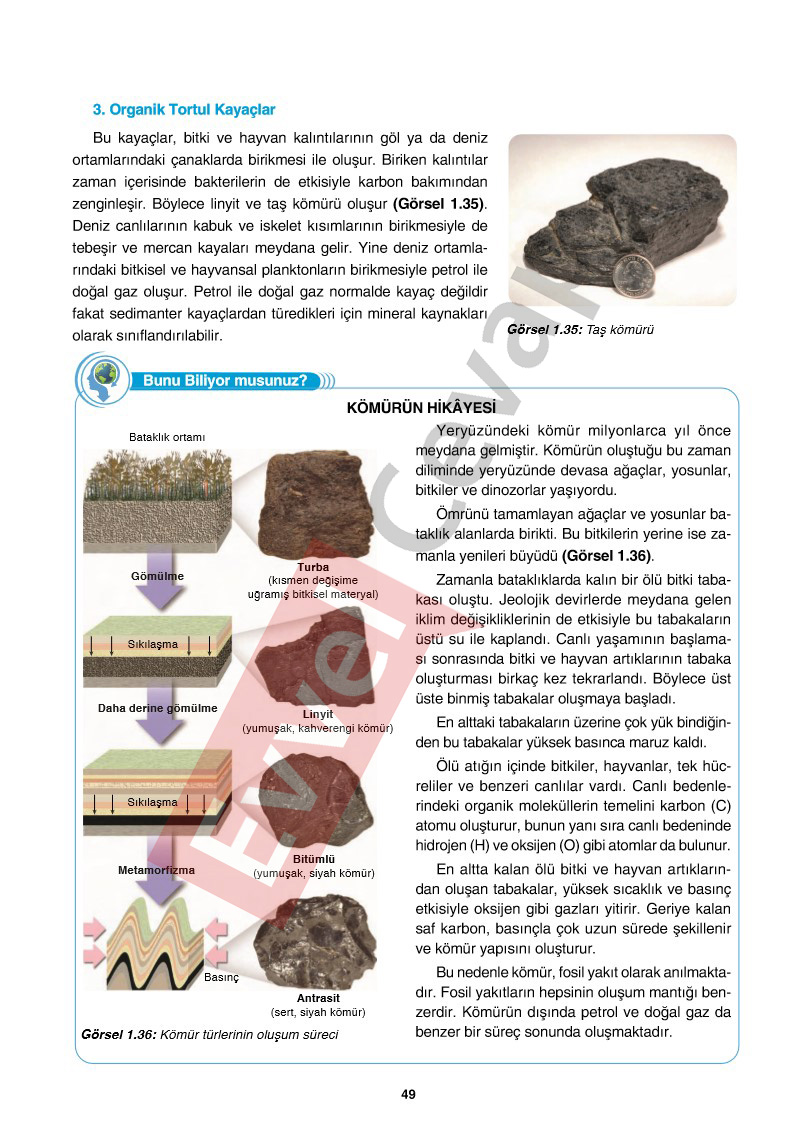 10-sinif-cografya-ders-kitabi-cevaplari-tutku-yayincilik-sayfa-49