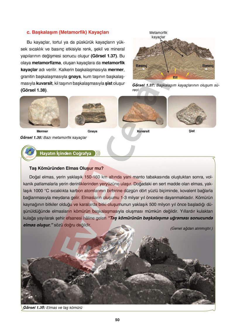 10-sinif-cografya-ders-kitabi-cevaplari-tutku-yayincilik-sayfa-50