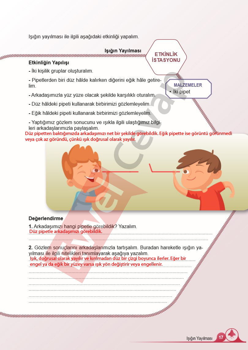 5-sinif-fen-bilimleri-ders-kitabi-cevaplari-meb-2-kitap-sayfa-17