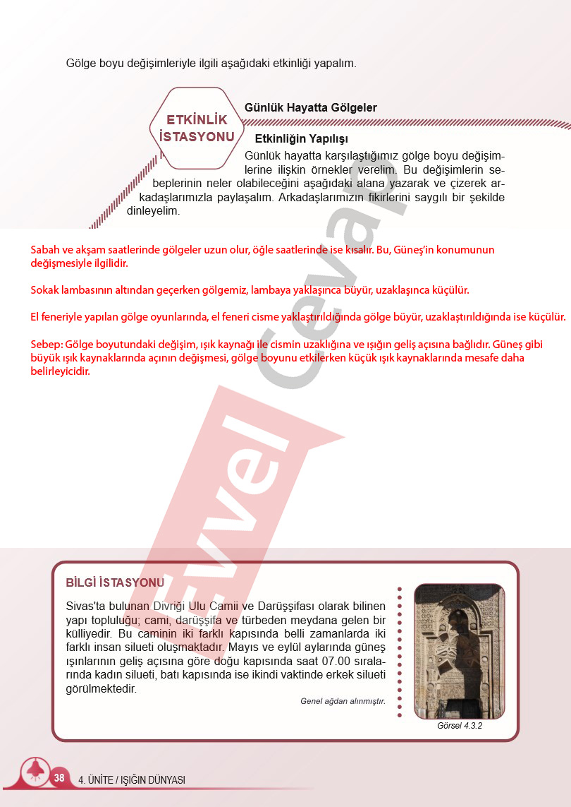 5-sinif-fen-bilimleri-ders-kitabi-cevaplari-meb-2-kitap-sayfa-38