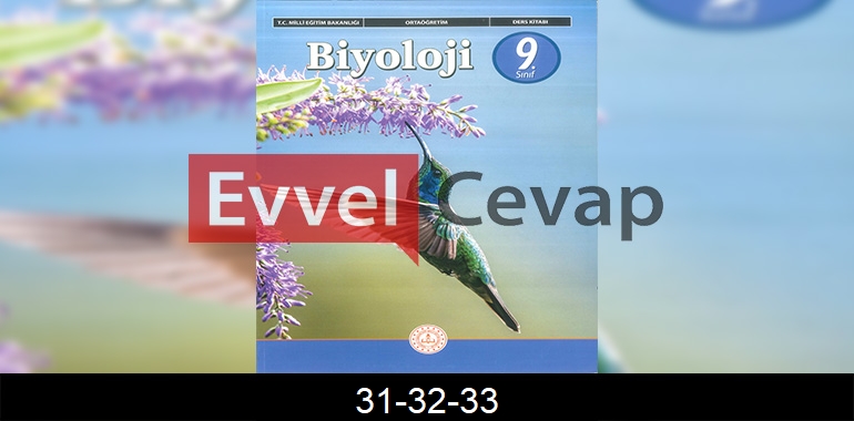 9. Sınıf Biyoloji Ders Kitabı Cevapları Sayfa 31-32-33 