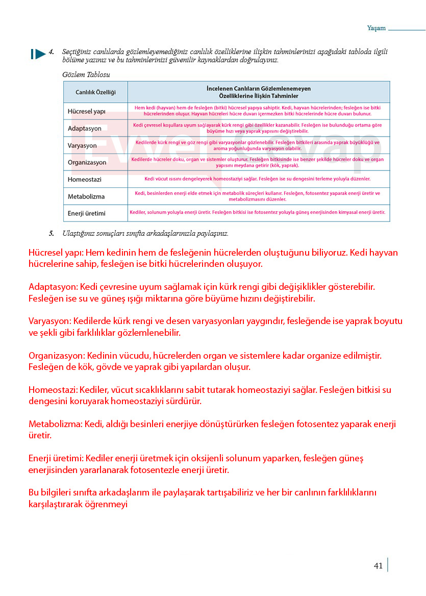 9-sinif-biyoloji-ders-kitabi-cevaplari-sayfa-41
