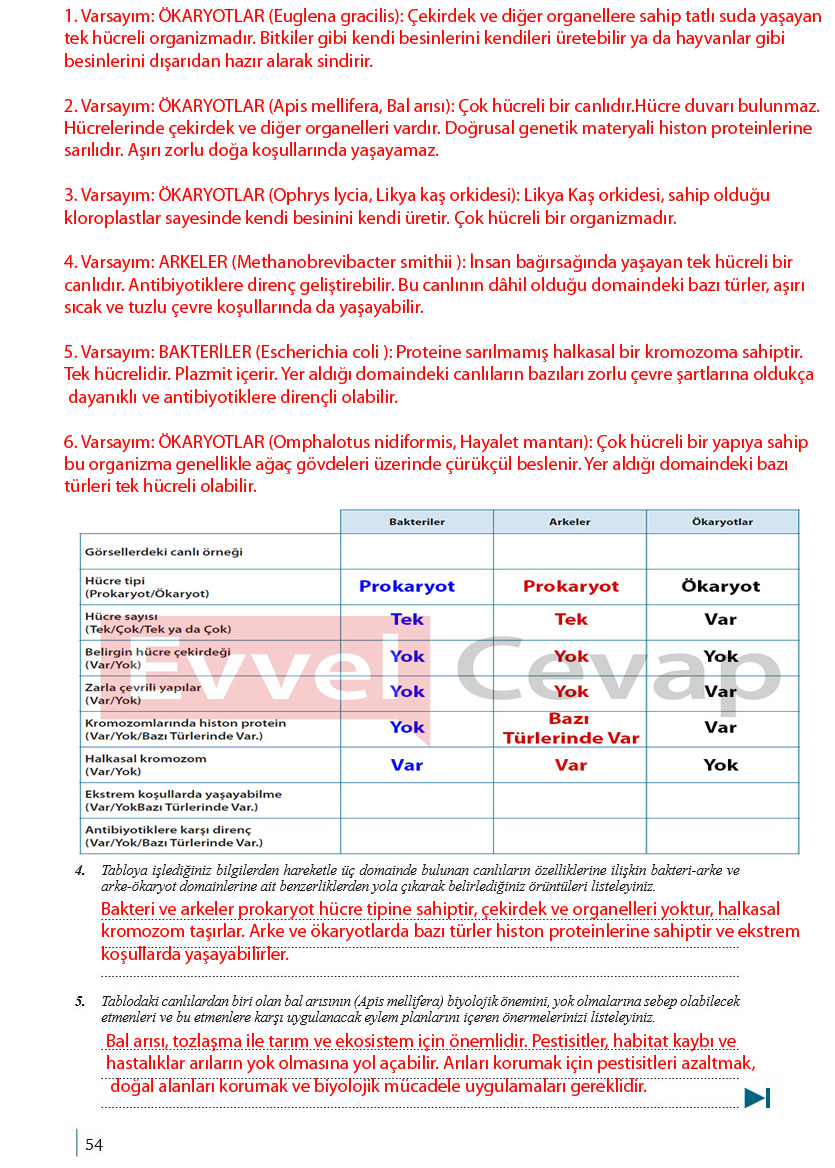 9-sinif-biyoloji-ders-kitabi-cevaplari-sayfa-54