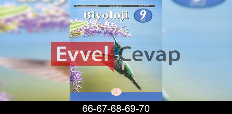 9. Sınıf Biyoloji Ders Kitabı Cevapları Sayfa 66-67-68-69-70 