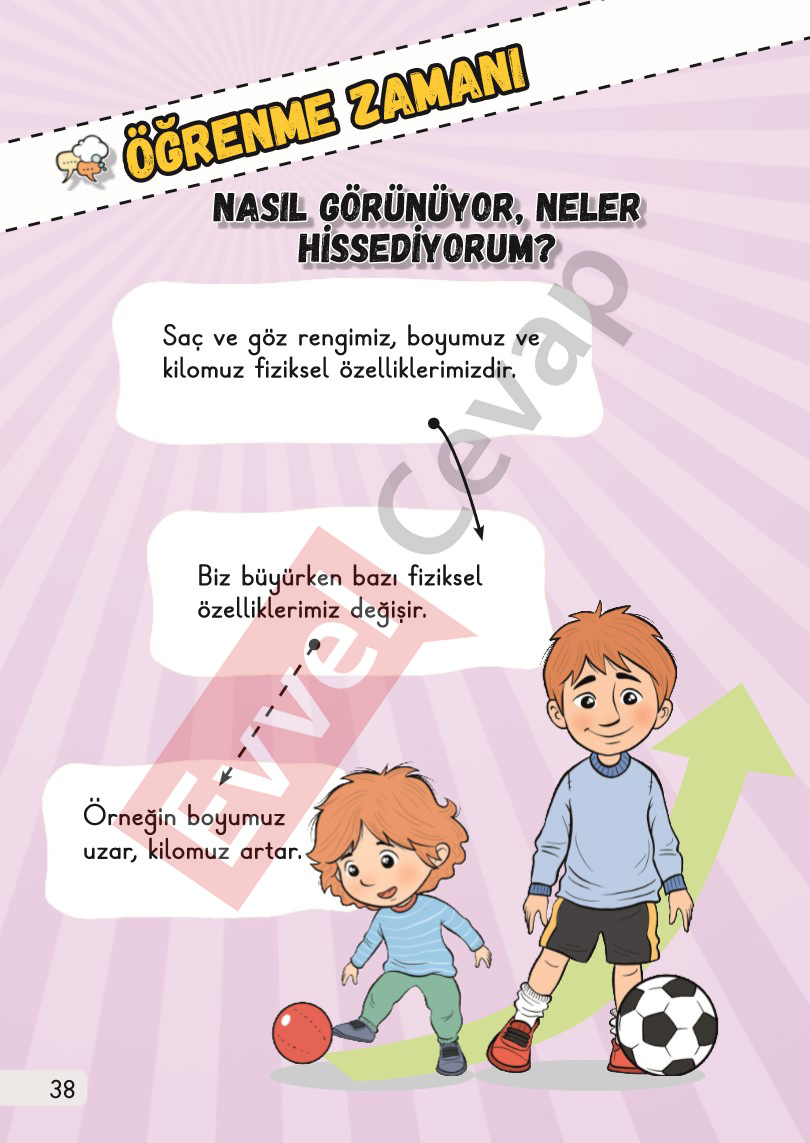 1-sinif-hayat-bilgisi-1-kitap-cevaplari-sayfa-38