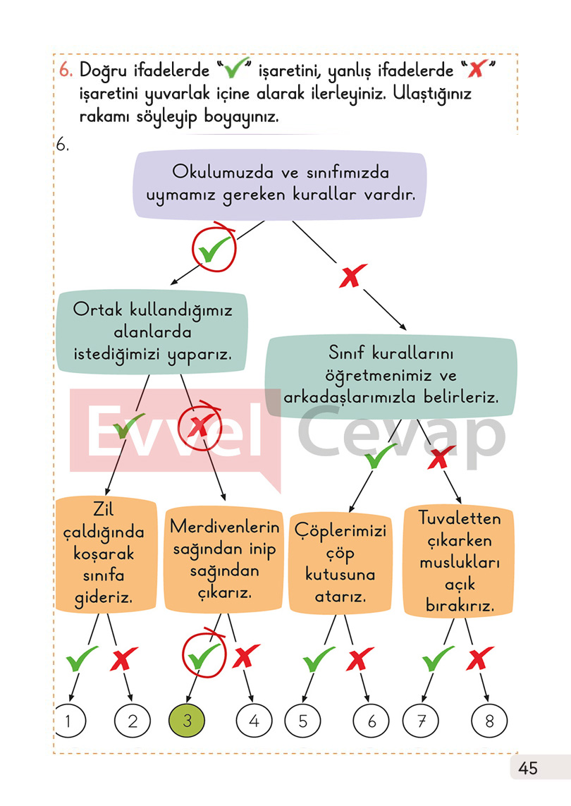 1-sinif-hayat-bilgisi-1-kitap-cevaplari-sayfa-45