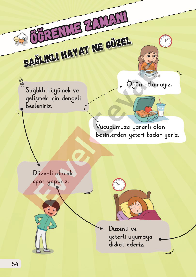 1-sinif-hayat-bilgisi-1-kitap-cevaplari-sayfa-54